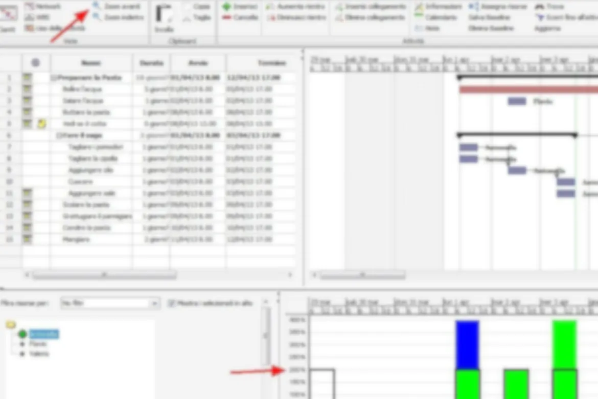 Project Management