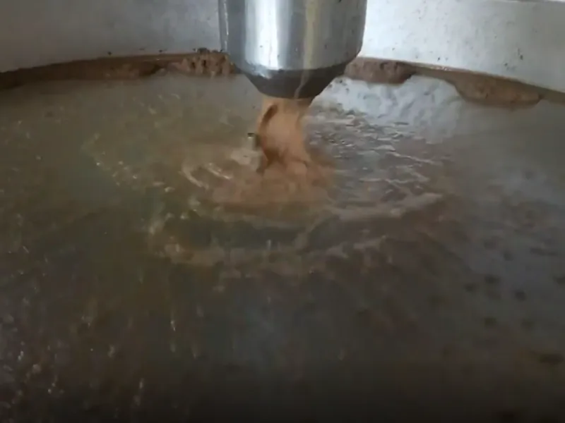 Olive mill wastewater treatment