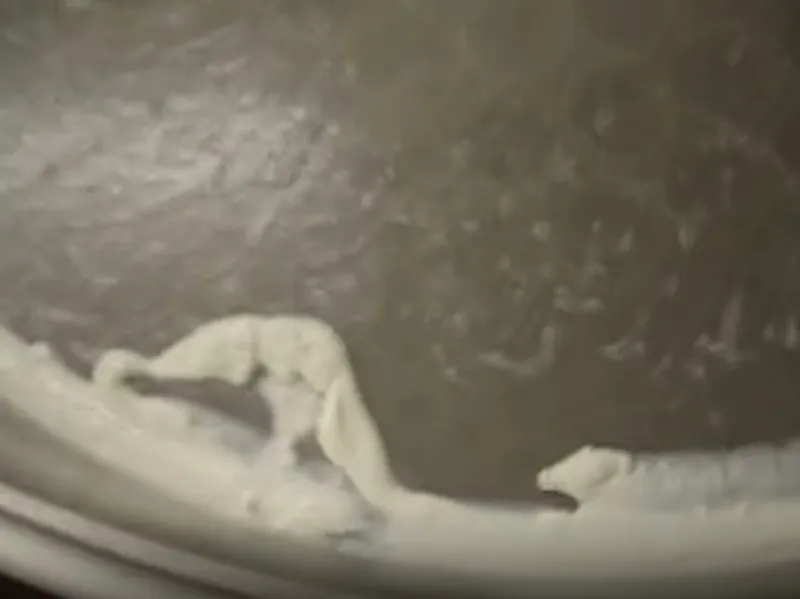 Cheese whey filtration